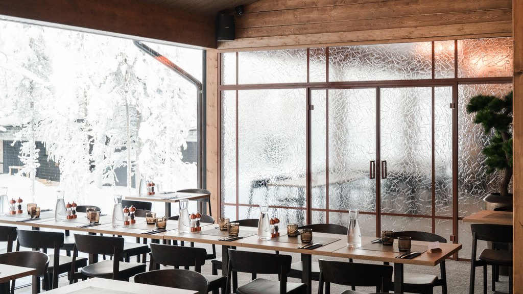 Artesaanilasiseinä-lasipariovilla-jää kuvio-optiwhite-maalatut profiilit-wilderness hotel saariseilkä (2)