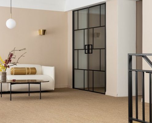 LASIOVET JA -SEINÄT -SARANALLISET