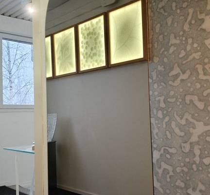 Kaaripeili, Pronssi - 800 x 1600 mm - 200€